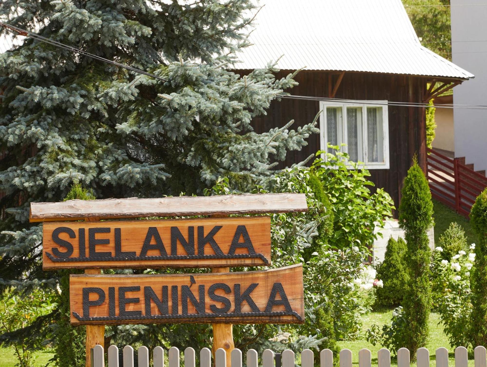 Villa Sielanka Pieninska Krościenko Exterior foto